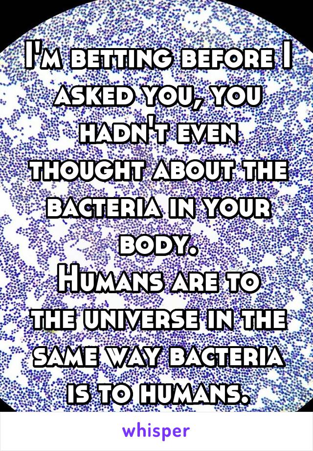 I'm betting before I asked you, you hadn't even thought about the bacteria in your body.
Humans are to the universe in the same way bacteria is to humans.