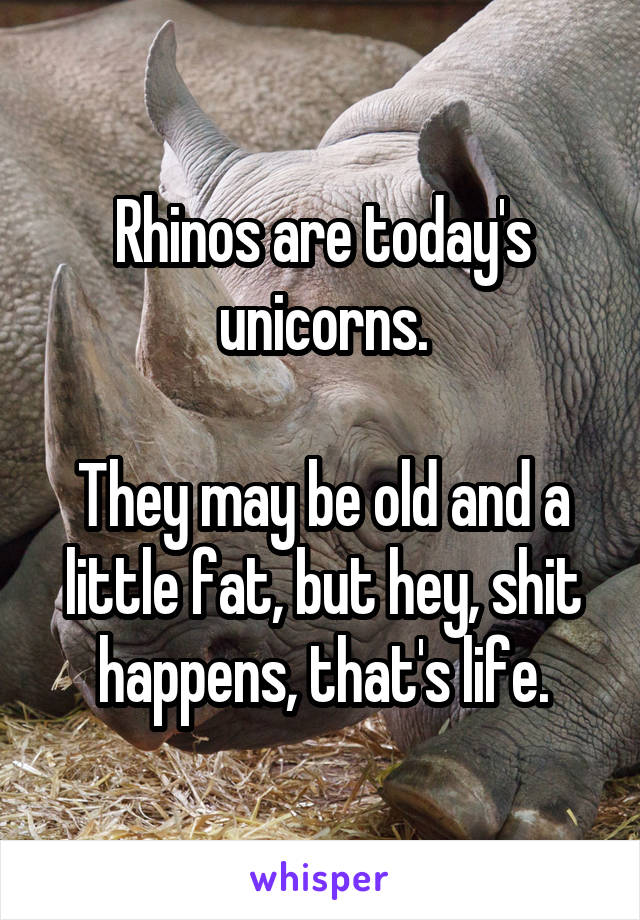 Rhinos are today's unicorns.

They may be old and a little fat, but hey, shit happens, that's life.