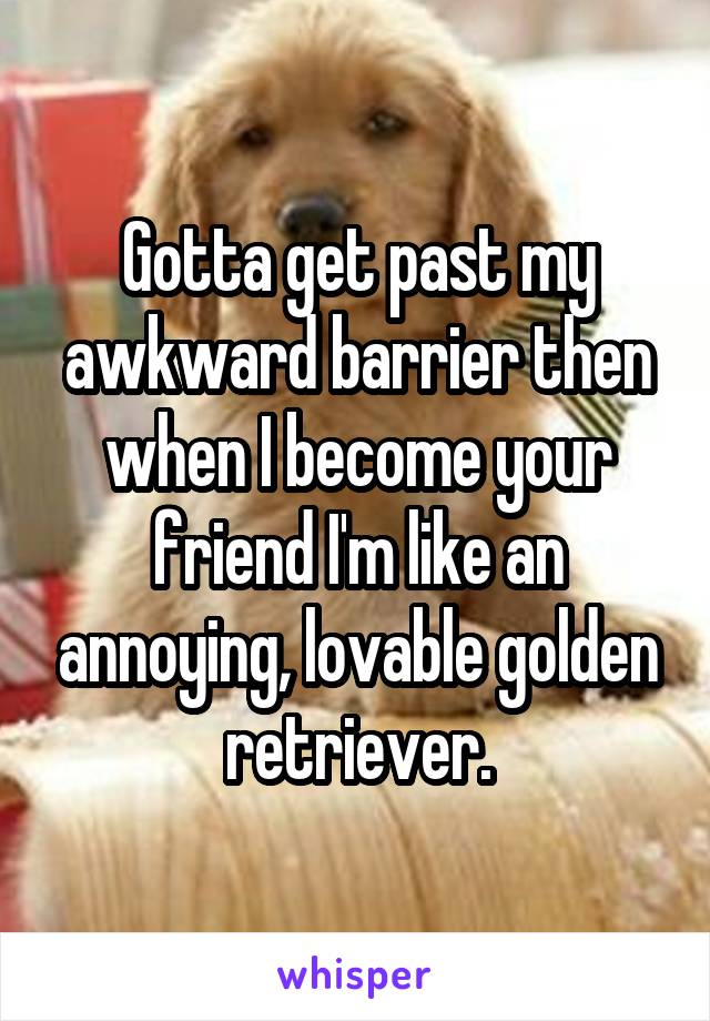 Gotta get past my awkward barrier then when I become your friend I'm like an annoying, lovable golden retriever.