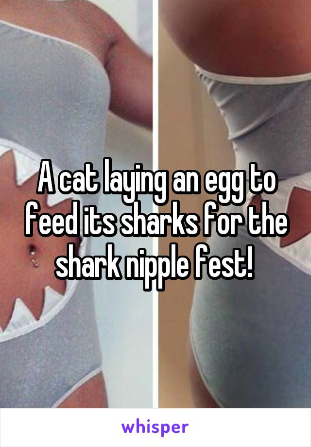 A cat laying an egg to feed its sharks for the shark nipple fest! 