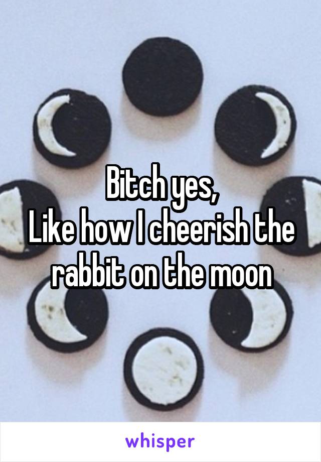 Bitch yes,
Like how I cheerish the rabbit on the moon