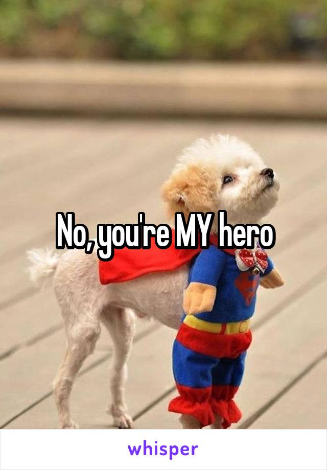 No, you're MY hero