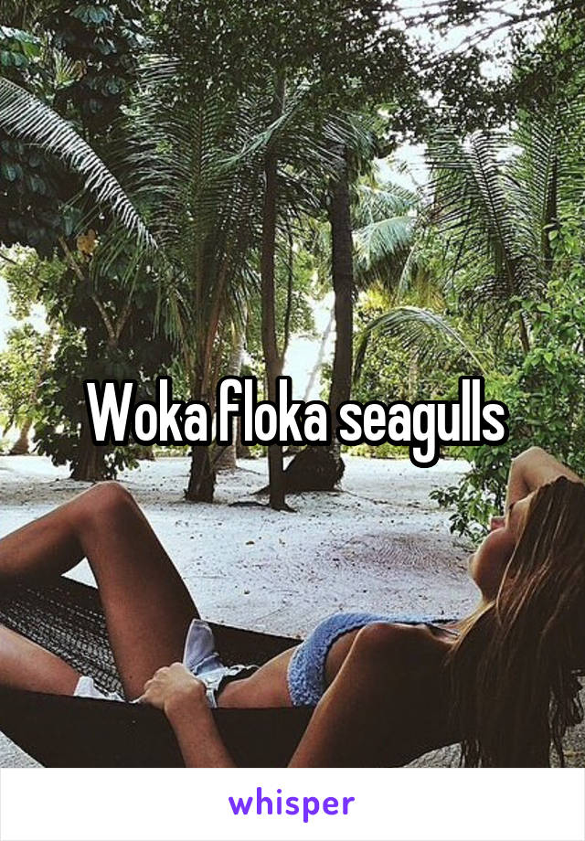 Woka floka seagulls