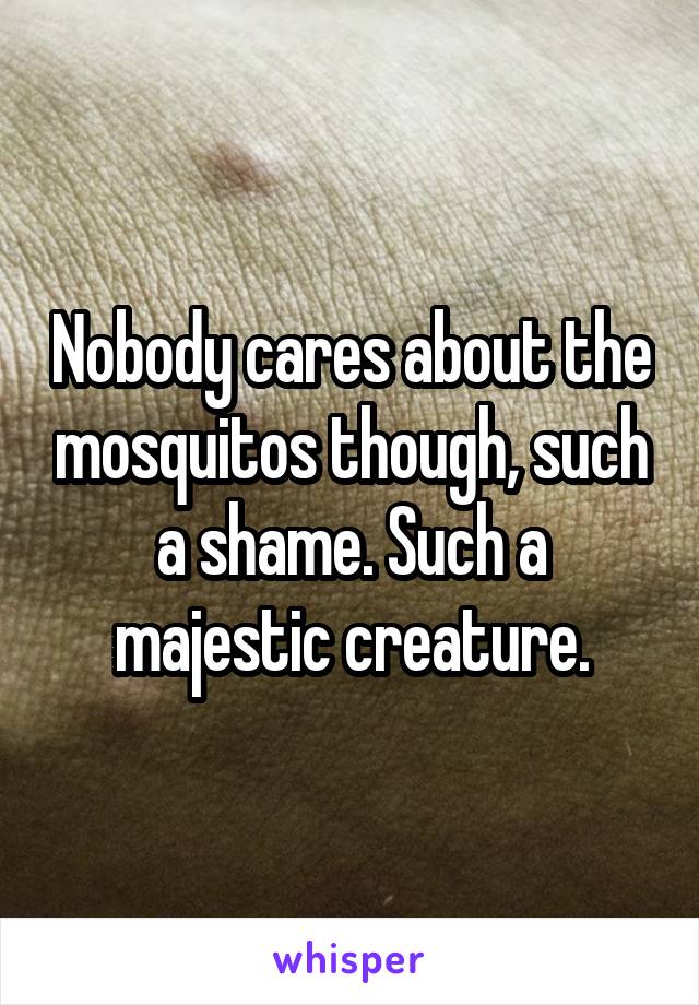 Nobody cares about the mosquitos though, such a shame. Such a majestic creature.