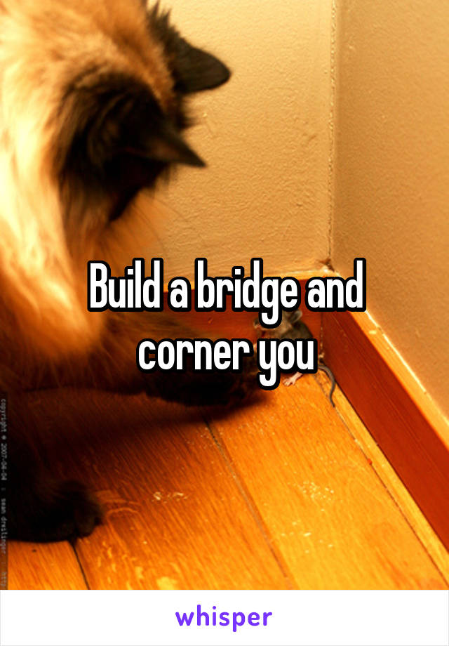 Build a bridge and corner you