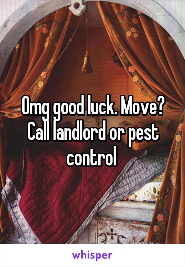 Omg good luck. Move? Call landlord or pest control 