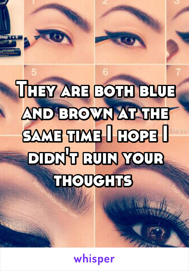 They are both blue and brown at the same time I hope I didn't ruin your thoughts 