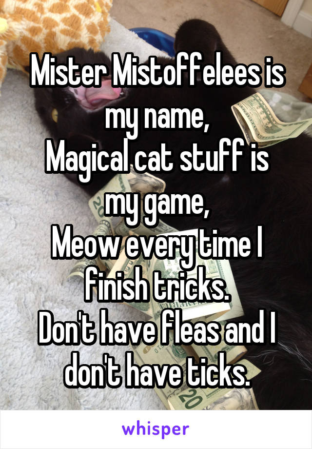 Mister Mistoffelees is my name,
Magical cat stuff is my game,
Meow every time I finish tricks.
Don't have fleas and I don't have ticks.