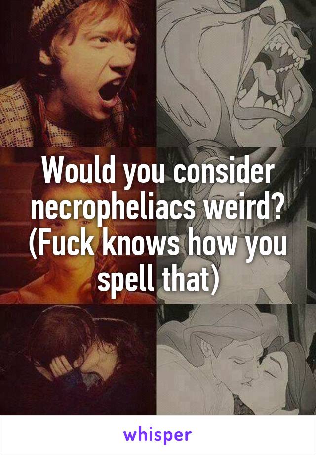 Would you consider necropheliacs weird?
(Fuck knows how you spell that)