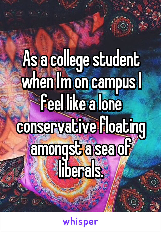 As a college student when I'm on campus I feel like a lone conservative floating amongst a sea of liberals.