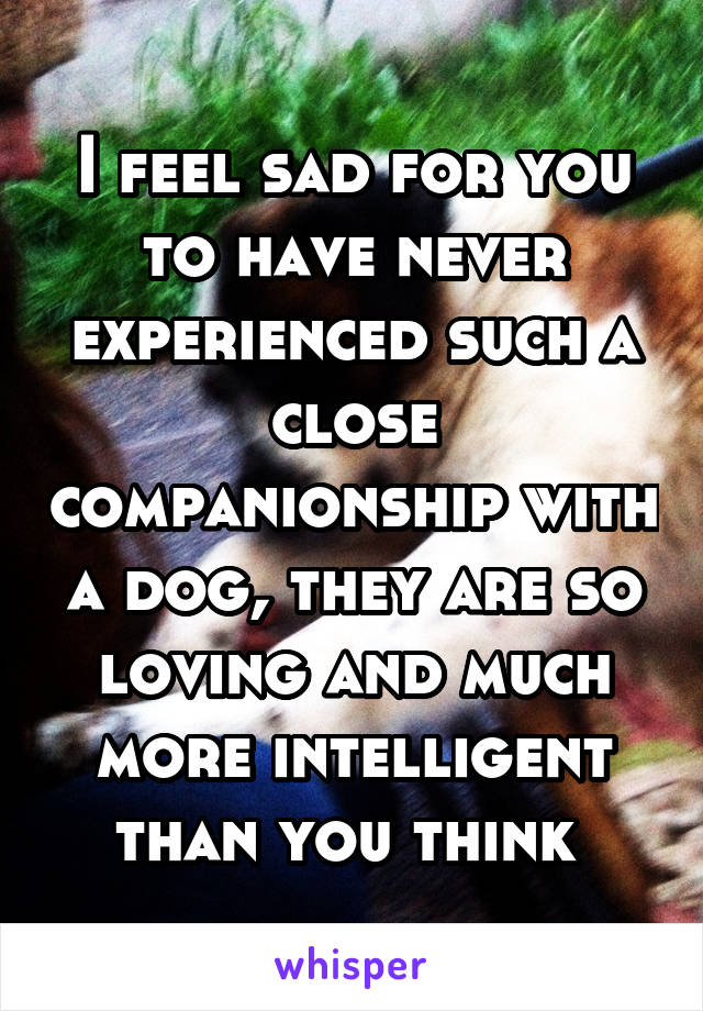 I feel sad for you to have never experienced such a close companionship with a dog, they are so loving and much more intelligent than you think 