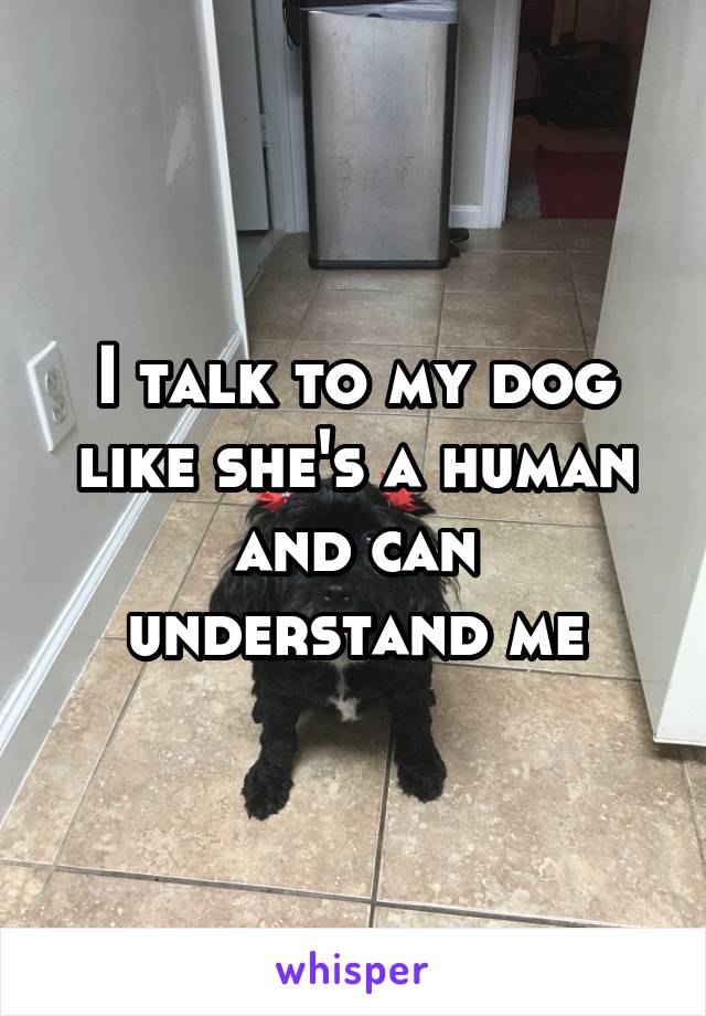 I talk to my dog like she's a human and can understand me