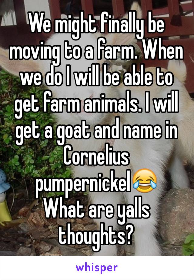 We might finally be moving to a farm. When we do I will be able to get farm animals. I will get a goat and name in Cornelius pumpernickel😂
What are yalls thoughts?
