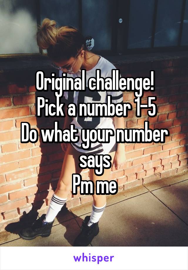 Original challenge!
 Pick a number 1-5
Do what your number says
Pm me