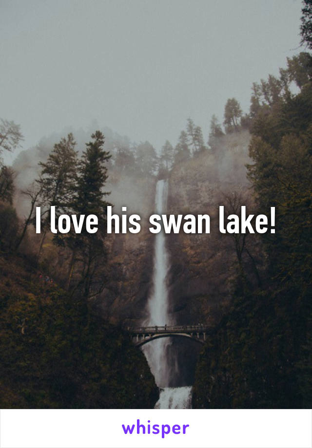 I love his swan lake!