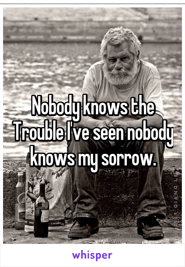 Nobody knows the Trouble I've seen nobody knows my sorrow.