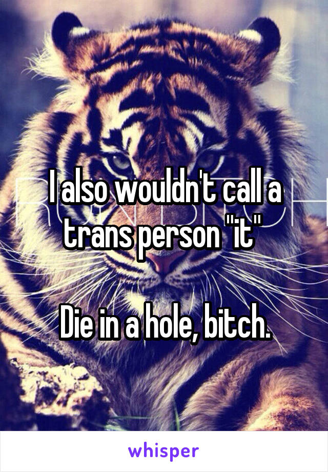 
I also wouldn't call a trans person "it" 

Die in a hole, bitch.