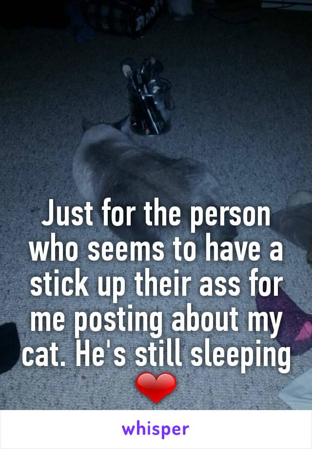 Just for the person who seems to have a stick up their ass for me posting about my cat. He's still sleeping ❤