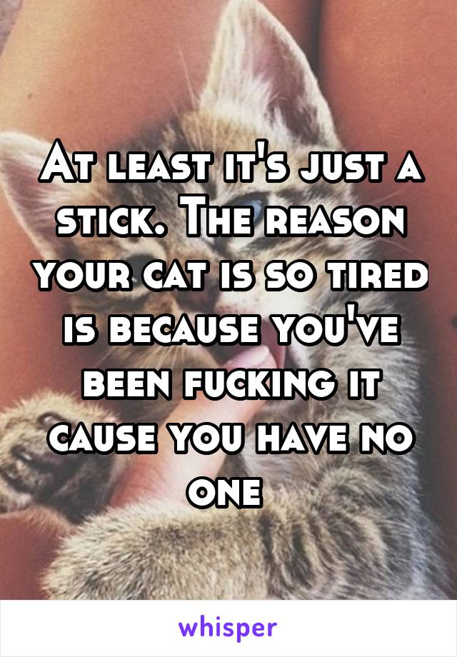 At least it's just a stick. The reason your cat is so tired is because you've been fucking it cause you have no one 