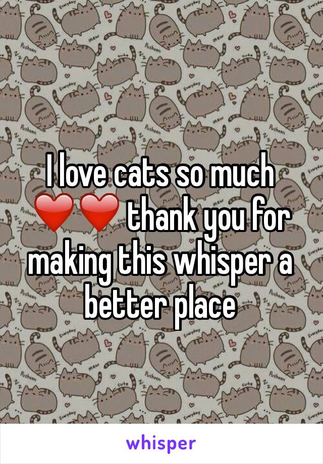 I love cats so much ❤️❤️ thank you for making this whisper a better place