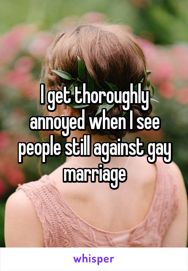 I get thoroughly annoyed when I see people still against gay marriage