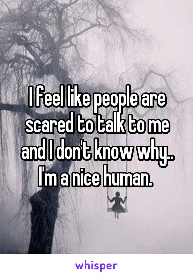 I feel like people are scared to talk to me and I don't know why.. I'm a nice human. 