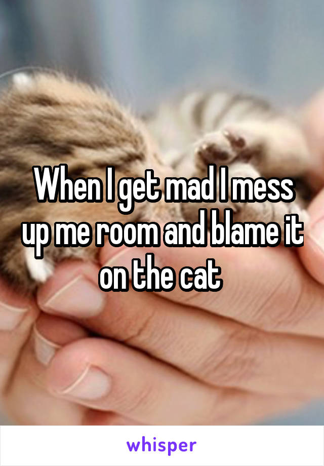 When I get mad I mess up me room and blame it on the cat 