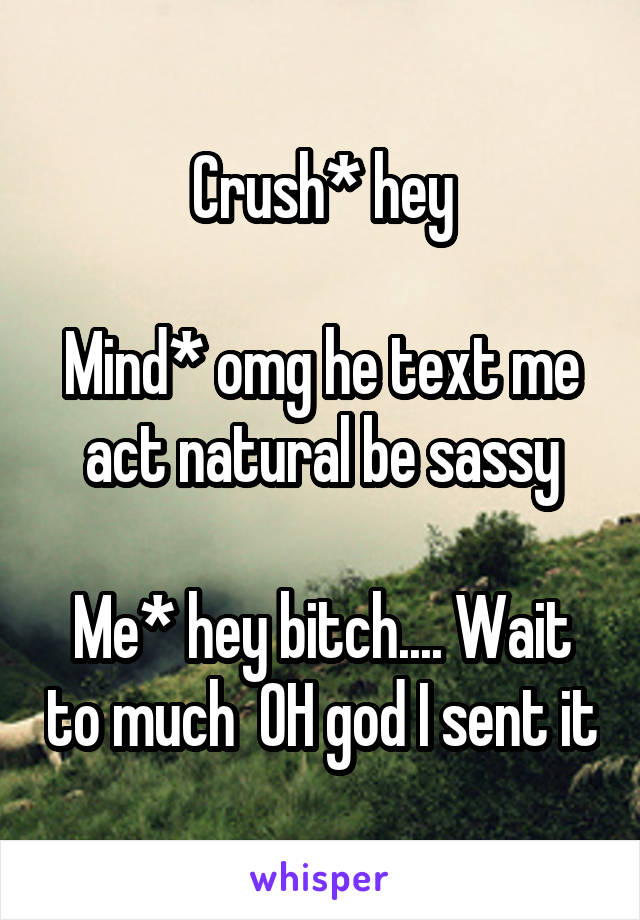 Crush* hey

Mind* omg he text me act natural be sassy

Me* hey bitch.... Wait to much  OH god I sent it