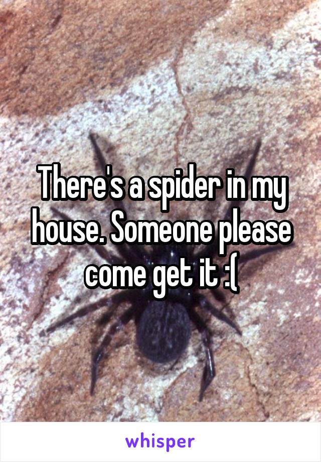 There's a spider in my house. Someone please come get it :(