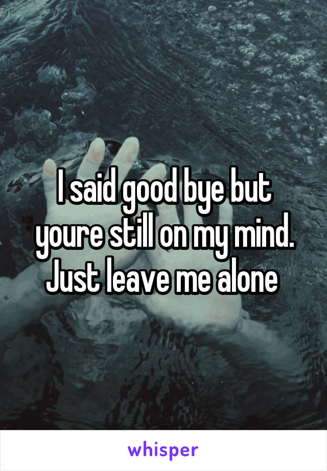 I said good bye but youre still on my mind. Just leave me alone 