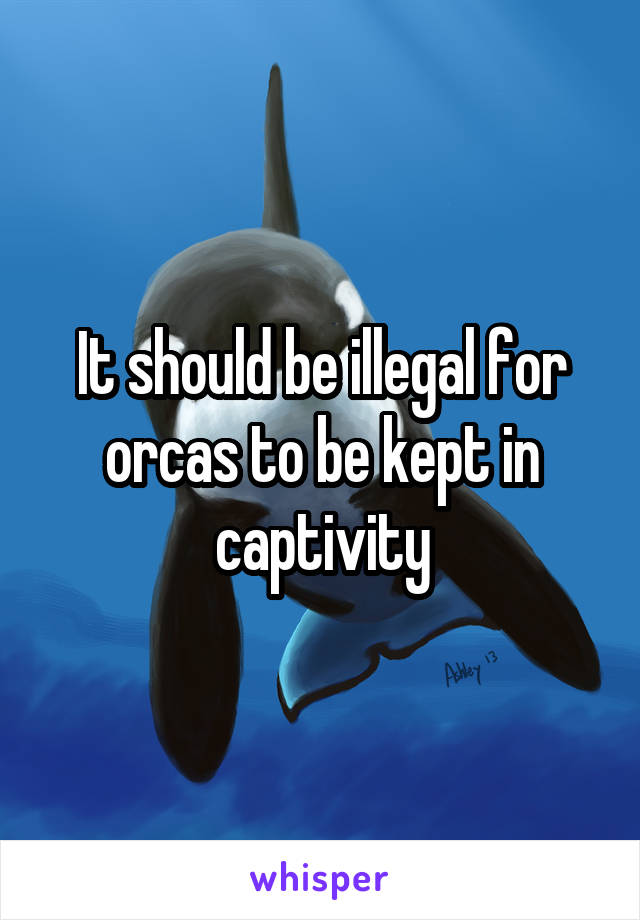 It should be illegal for orcas to be kept in captivity