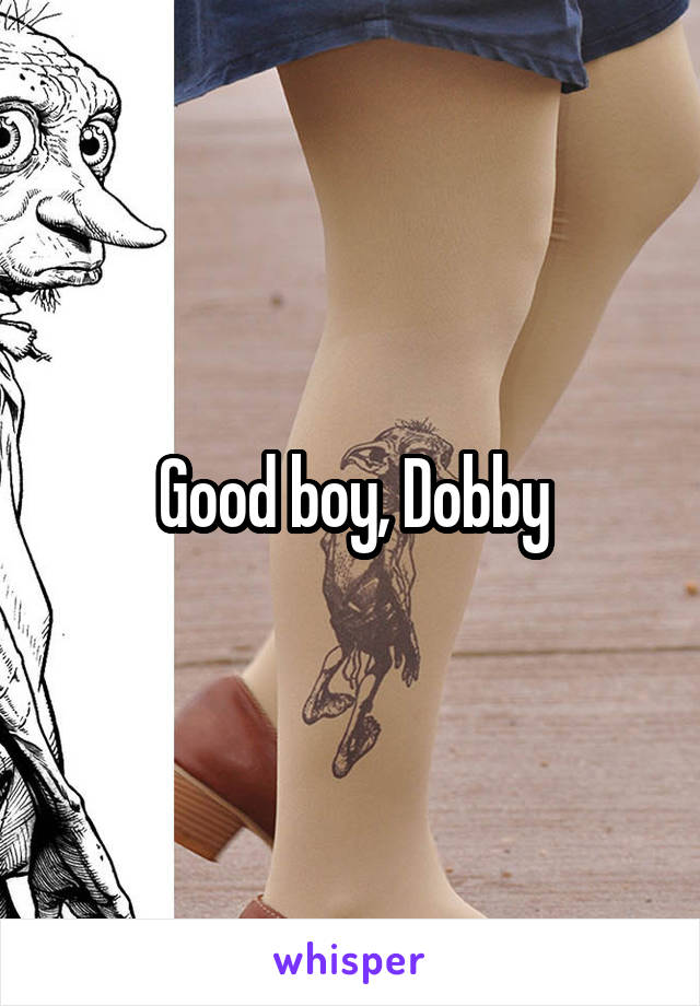 Good boy, Dobby