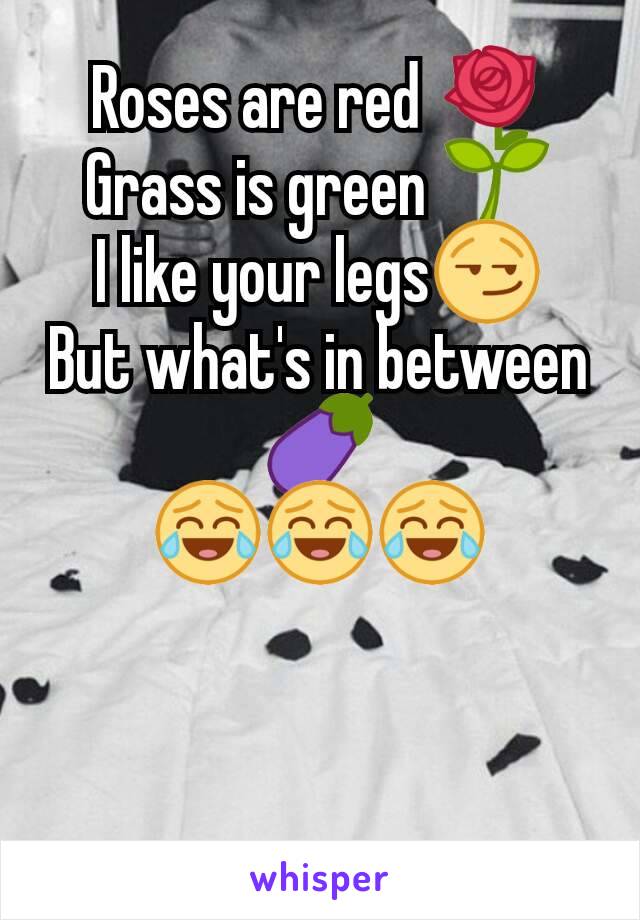 Roses are red 🌹
Grass is green 🌱
I like your legs😏
But what's in between 🍆
😂😂😂