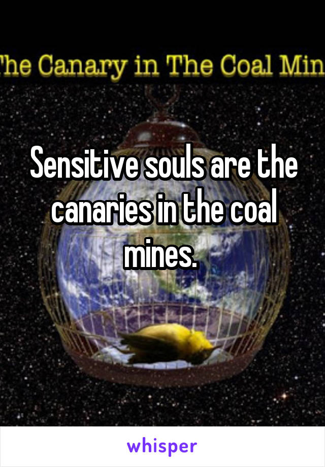 Sensitive souls are the canaries in the coal mines. 
