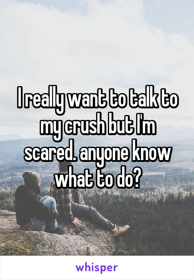 I really want to talk to my crush but I'm scared. anyone know what to do?