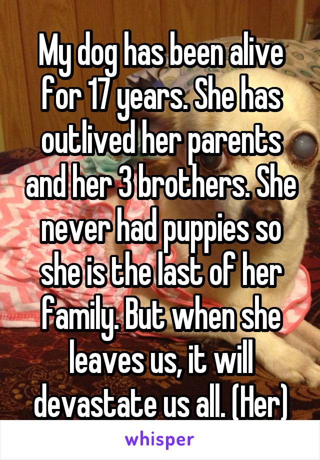 My dog has been alive for 17 years. She has outlived her parents and her 3 brothers. She never had puppies so she is the last of her family. But when she leaves us, it will devastate us all. (Her)