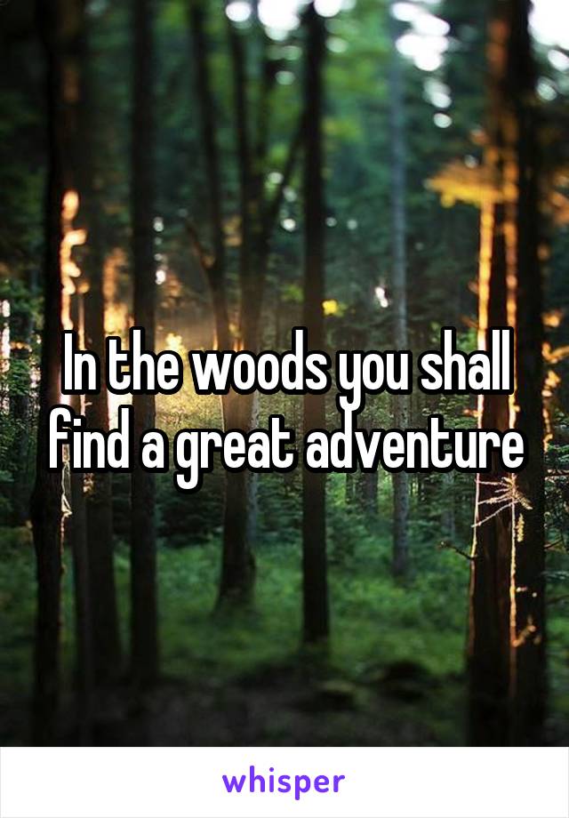 In the woods you shall find a great adventure