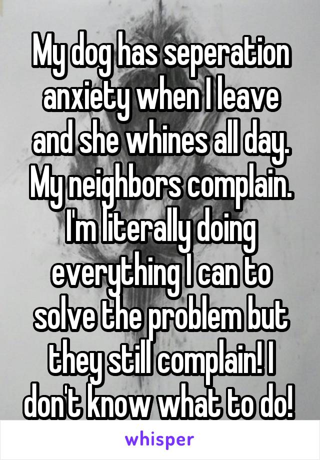 My dog has seperation anxiety when I leave and she whines all day. My neighbors complain. I'm literally doing everything I can to solve the problem but they still complain! I don't know what to do! 