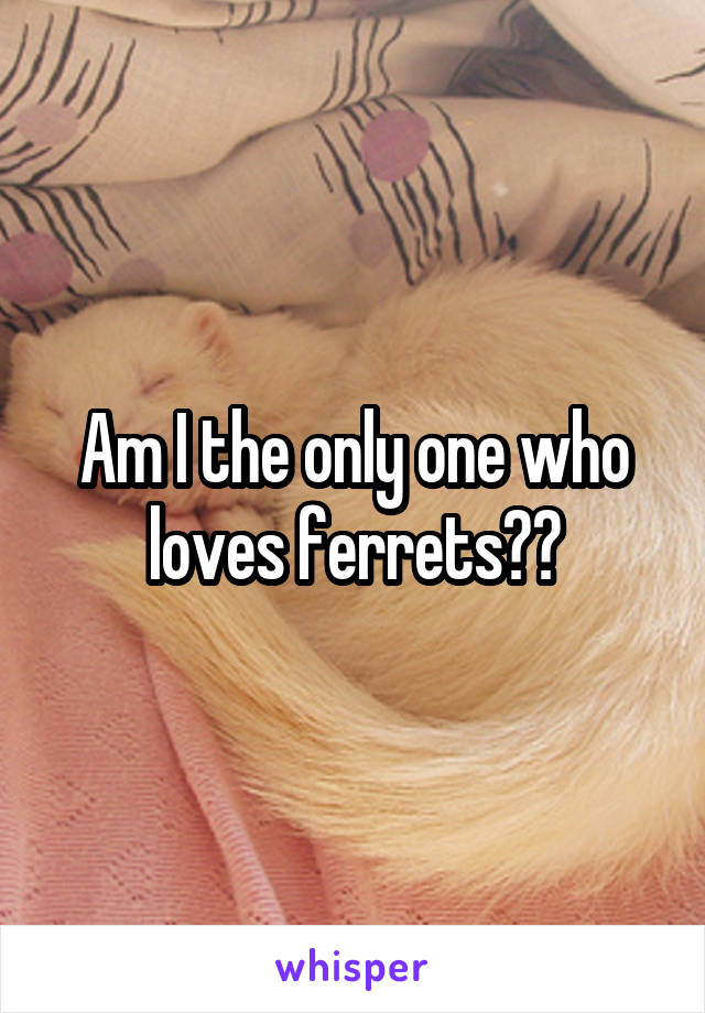 Am I the only one who loves ferrets??