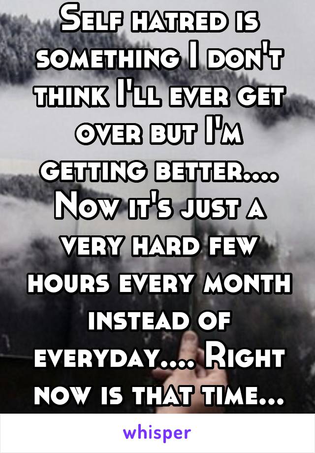 Self hatred is something I don't think I'll ever get over but I'm getting better.... Now it's just a very hard few hours every month instead of everyday.... Right now is that time... Hurts so much