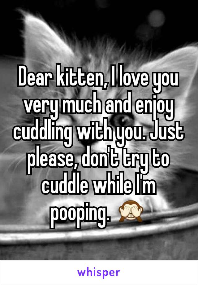 Dear kitten, I love you very much and enjoy cuddling with you. Just please, don't try to cuddle while I'm pooping. 🙈