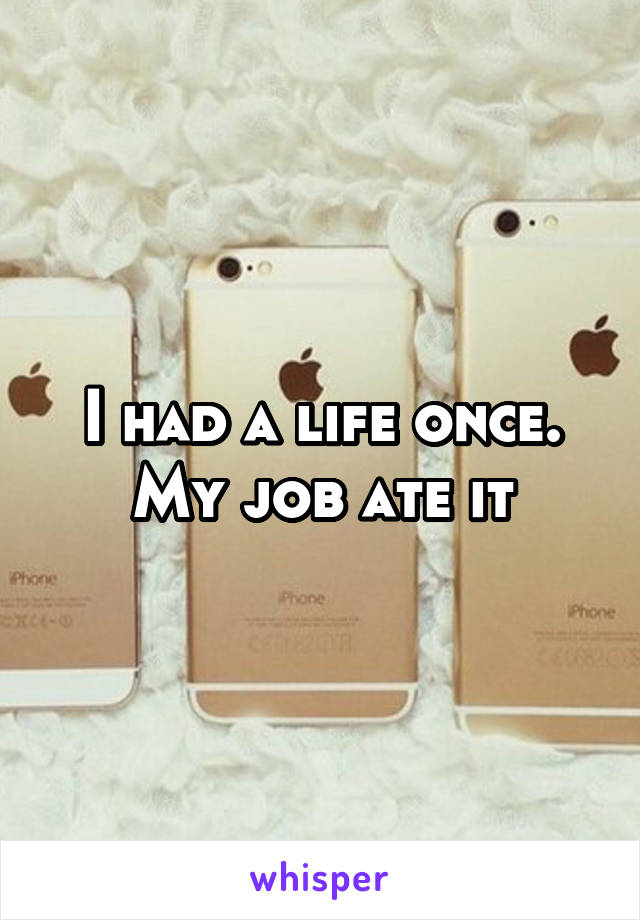 I had a life once. My job ate it