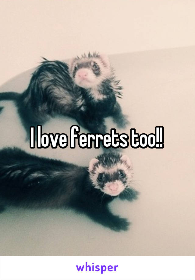 I love ferrets too!! 