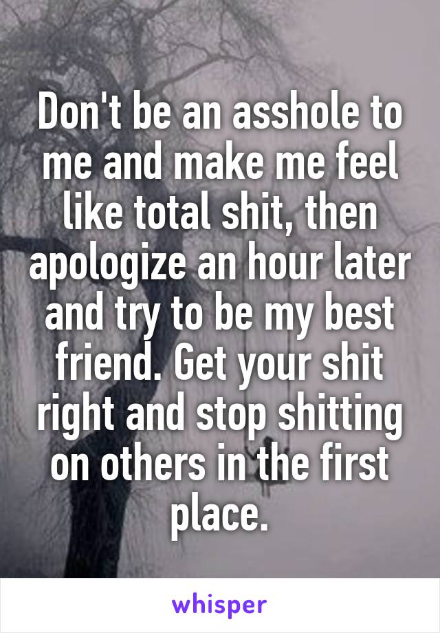 Don't be an asshole to me and make me feel like total shit, then apologize an hour later and try to be my best friend. Get your shit right and stop shitting on others in the first place.