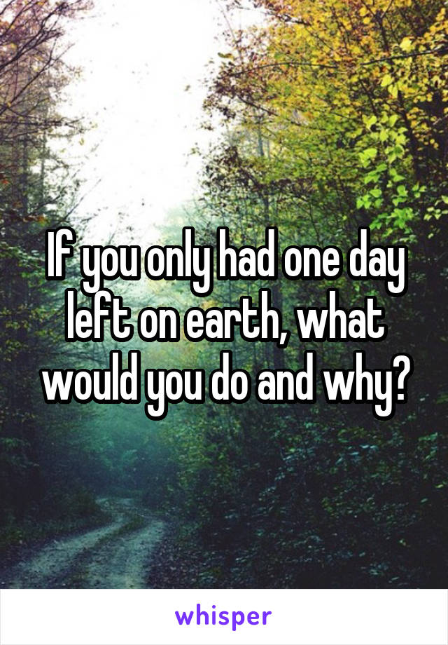 If you only had one day left on earth, what would you do and why?