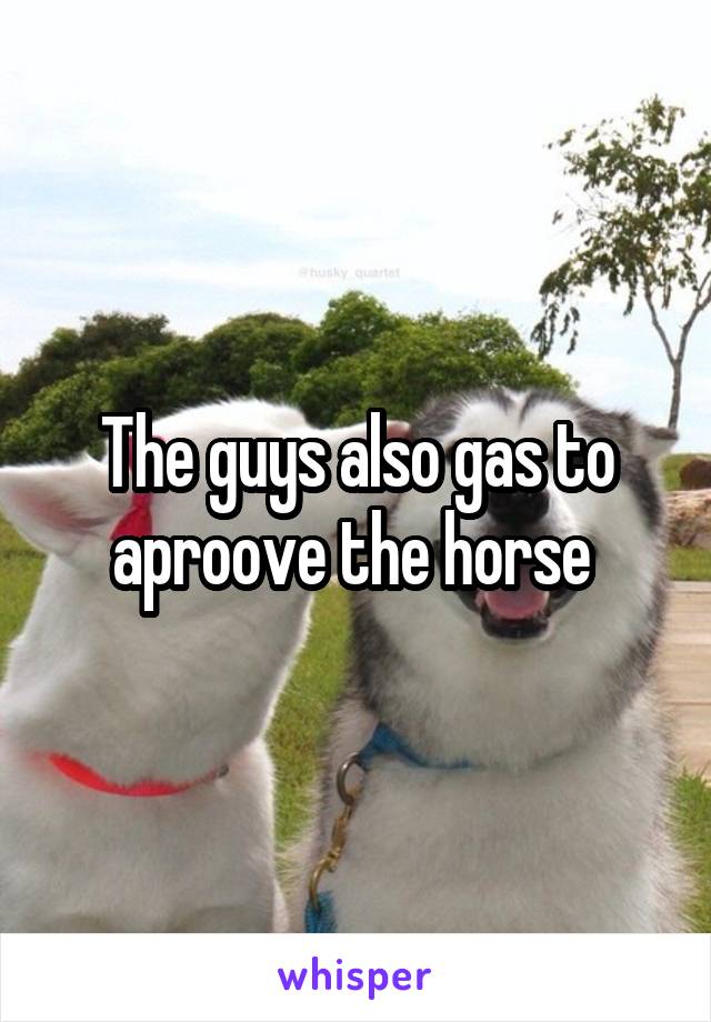 The guys also gas to aproove the horse 