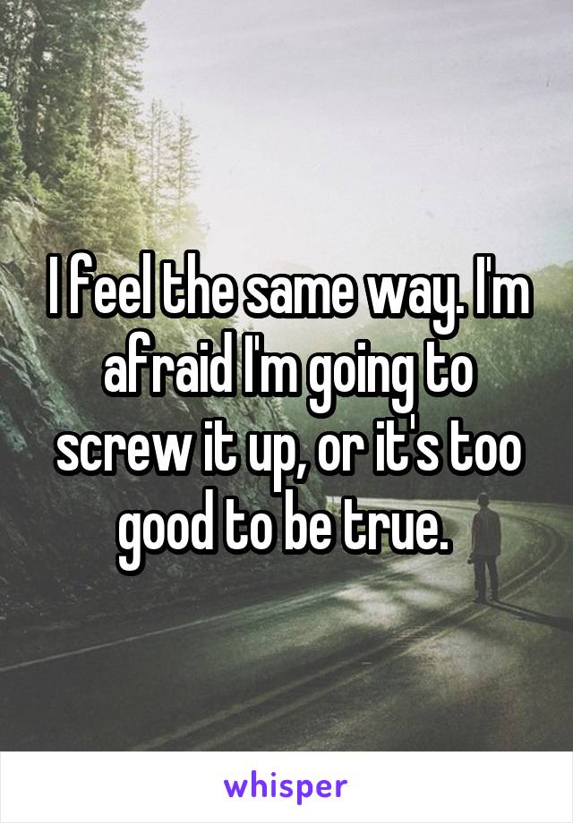 I feel the same way. I'm afraid I'm going to screw it up, or it's too good to be true. 