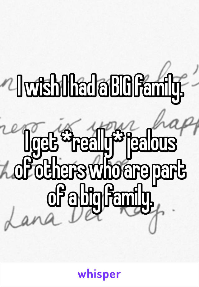 I wish I had a BIG family.

I get *really* jealous of others who are part of a big family.