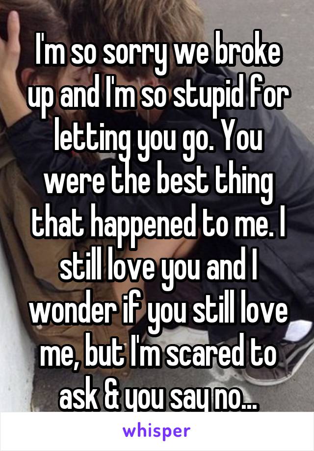 I'm so sorry we broke up and I'm so stupid for letting you go. You were the best thing that happened to me. I still love you and I wonder if you still love me, but I'm scared to ask & you say no...