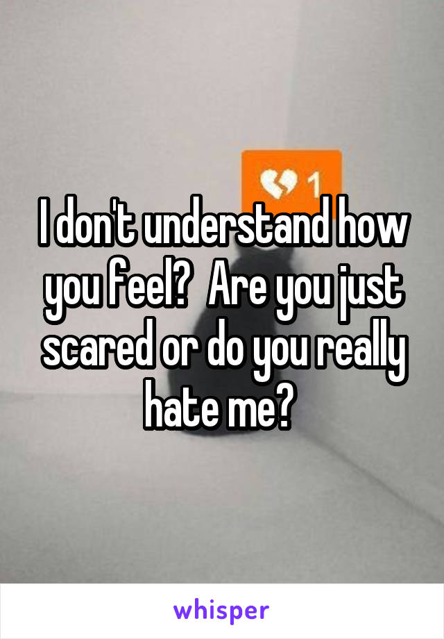 I don't understand how you feel?  Are you just scared or do you really hate me? 